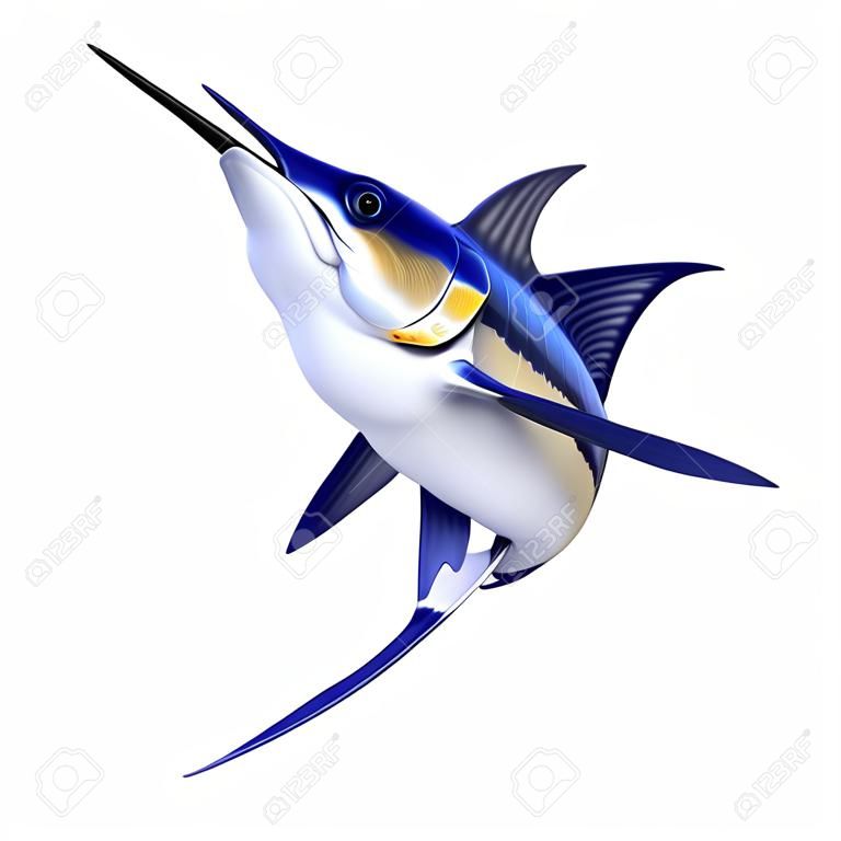 Rappresentazione 3D di un pesce del marlin isolato su fondo bianco