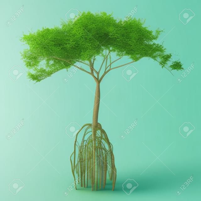Representación 3D de un árbol de mangle verde aislado sobre fondo blanco.