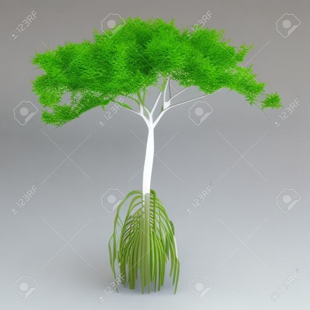 Representación 3D de un árbol de mangle verde aislado sobre fondo blanco.