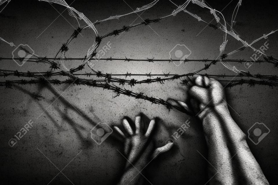Jailbreak. Hands holding on to barbed wire on the wall of the prison. law. freedom