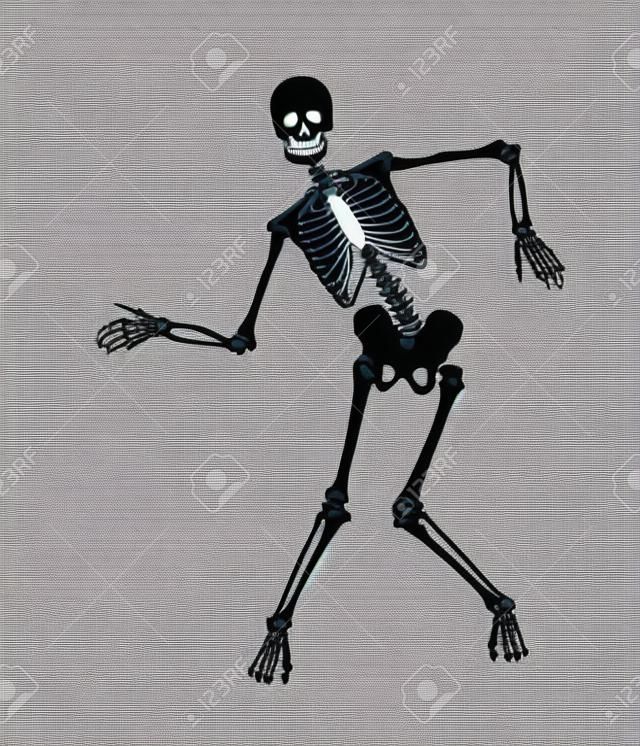 Divertente vettore scheletro isolato su nero. Disegno di Halloween