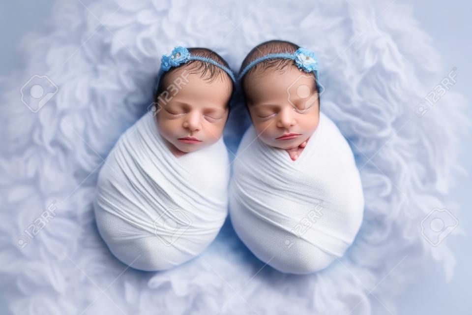 Tiny newborn twin girls in white cocoons on a blue background. A newborn twin sleeps next to his sister. Newborn twin girls in white headbands with a white and blue flowers.