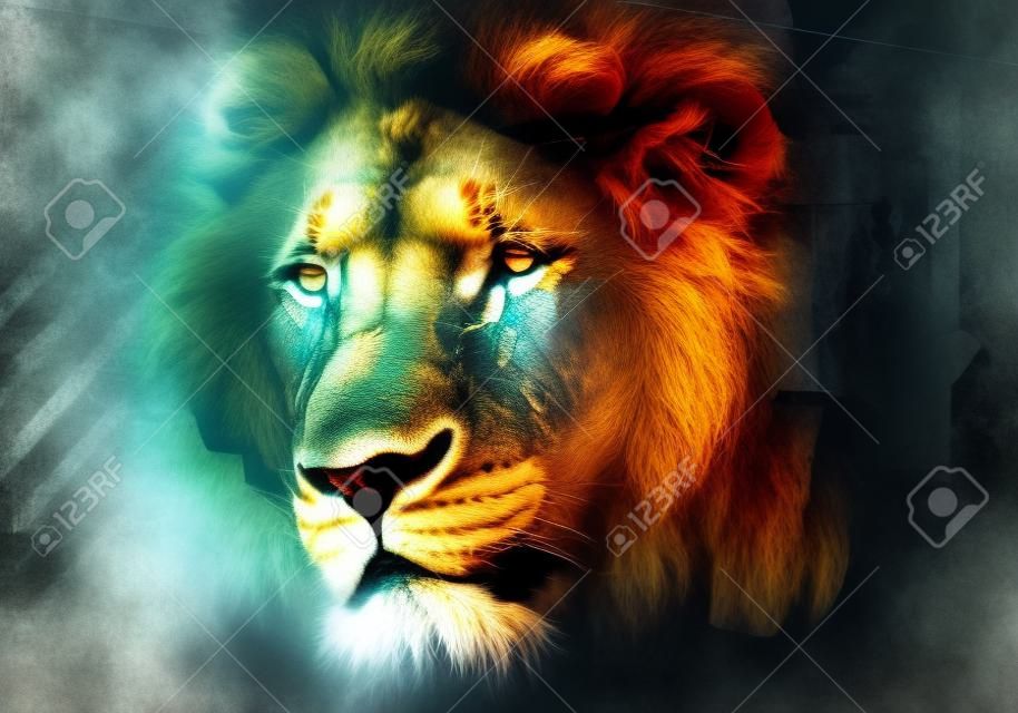 grunge background with graffiti and painted lion