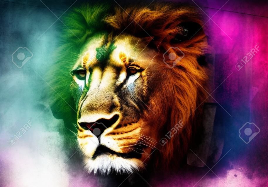 grunge background with graffiti and painted lion