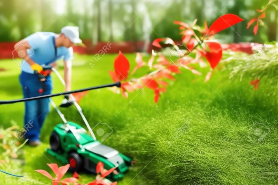 빨간 잔디 깎는 기계로 잔디를 자르는 남자. 뒷마당 개념에서 작업.