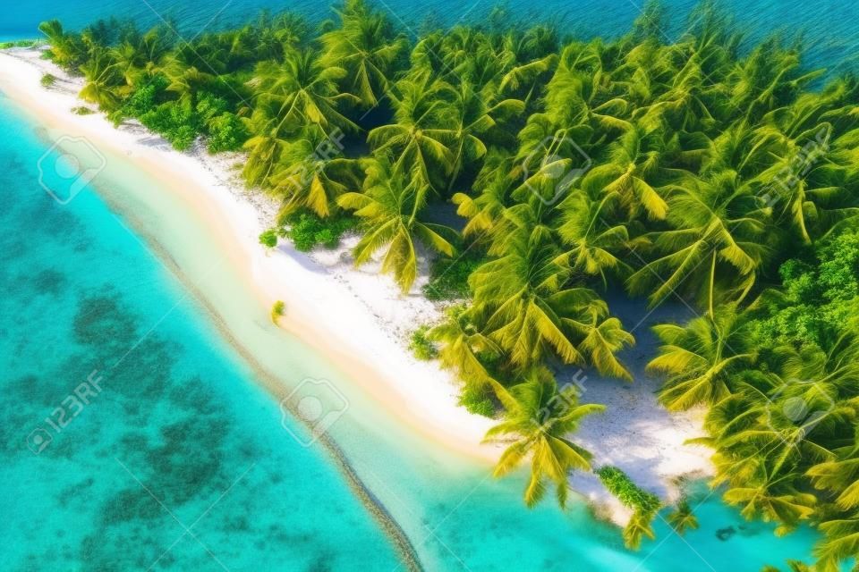 多米尼加共和國熱帶島嶼海灘的鳥瞰圖
