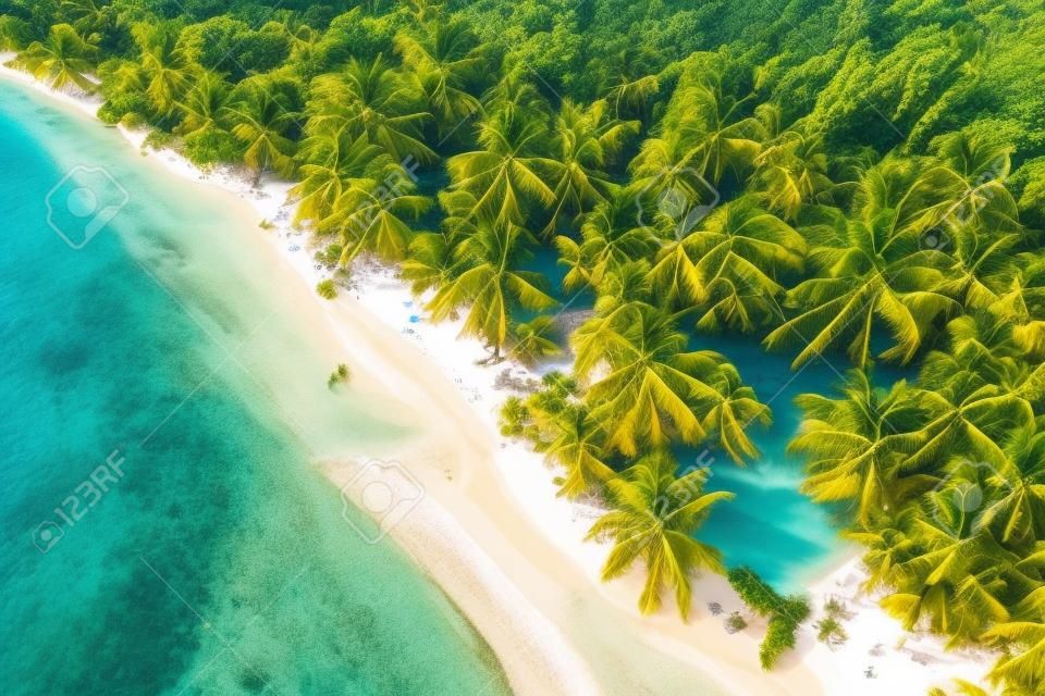Вид с воздуха на тропический островной пляж, Доминиканская Республика