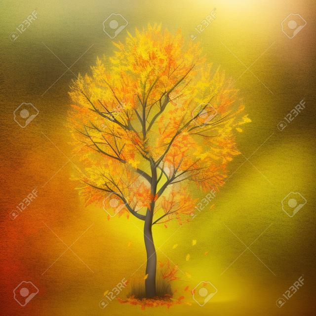 Осеннее дерево с желтыми листьями