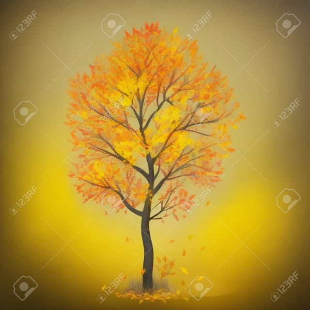Осеннее дерево с желтыми листьями