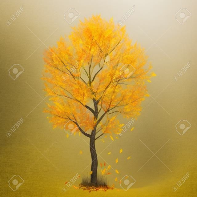sarı yapraklar ile sonbahar ağaç