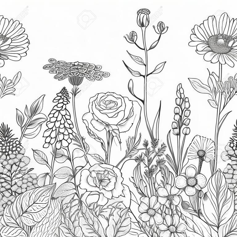 손 야생화와 원활한 라인 패턴을 그려. 흑백 낙서 야생 꽃과 색칠 잔디. 장식 꽃 요소를 흑백. 벡터 스케치.