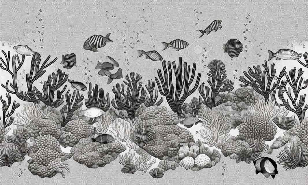 Hand drawn underwater natural elements. Seamless line horizontal pattern with reef corals, actinia, clams and swimming fishes. Monochrome sea bottom texture. Black and white illustration.