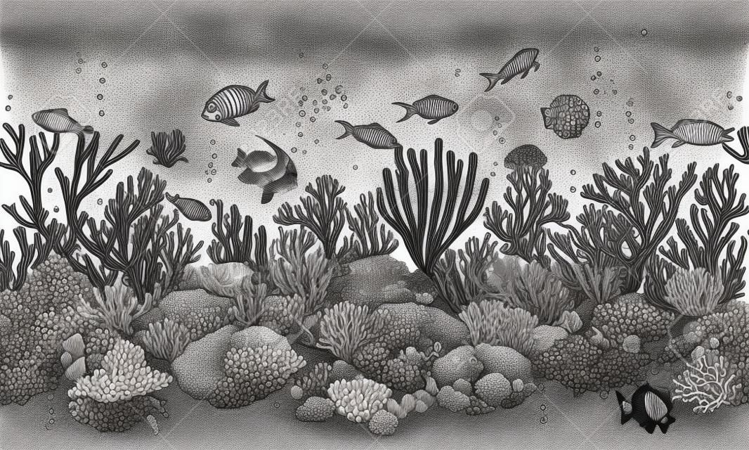 El altında su altı doğal elementleri çizildi. Resif mercanlar, aktinya, istiridye ve yüzme balıklarıyla dikişsiz çizgi yatay deseni. Siyah beyaz deniz tabanı dokusu. Siyah-beyaz illüstrasyon.