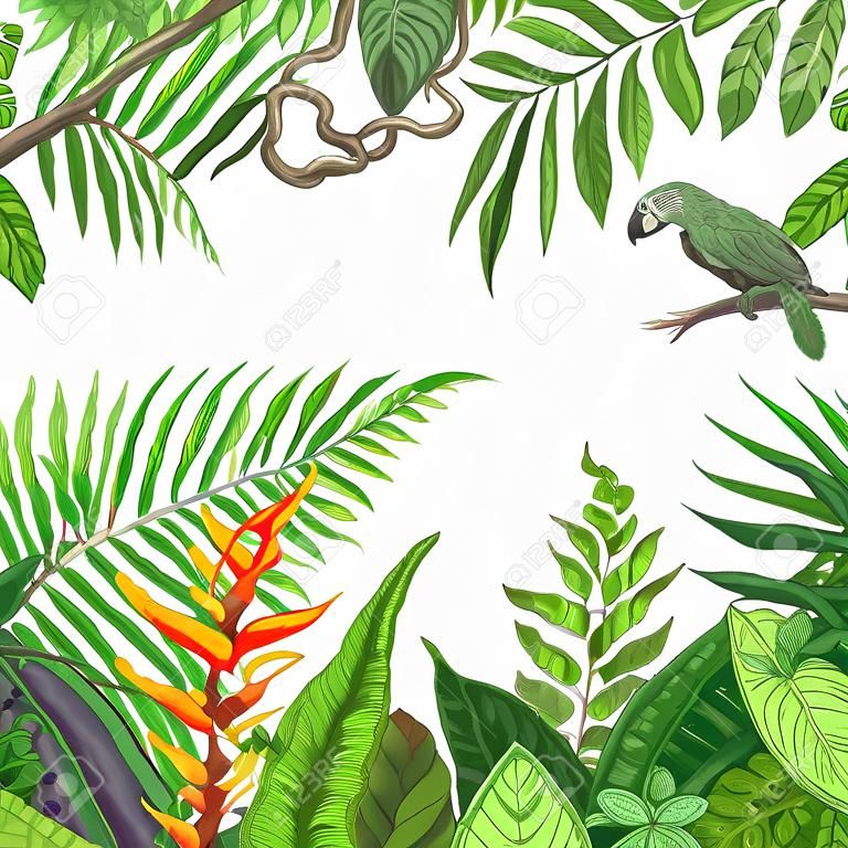 手描きは、枝や葉は熱帯植物の。
