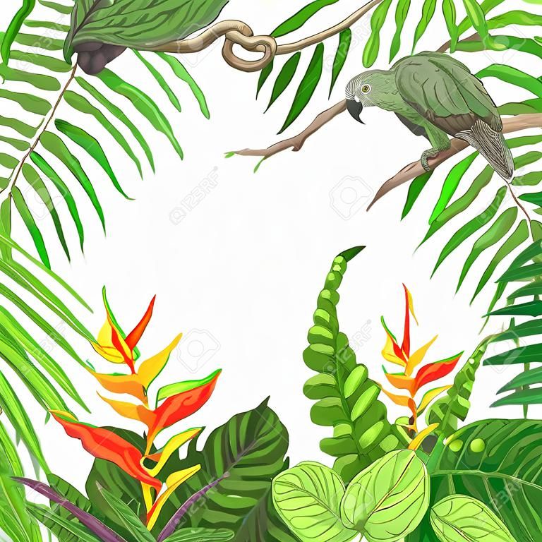 手描きは、枝や葉は熱帯植物の。