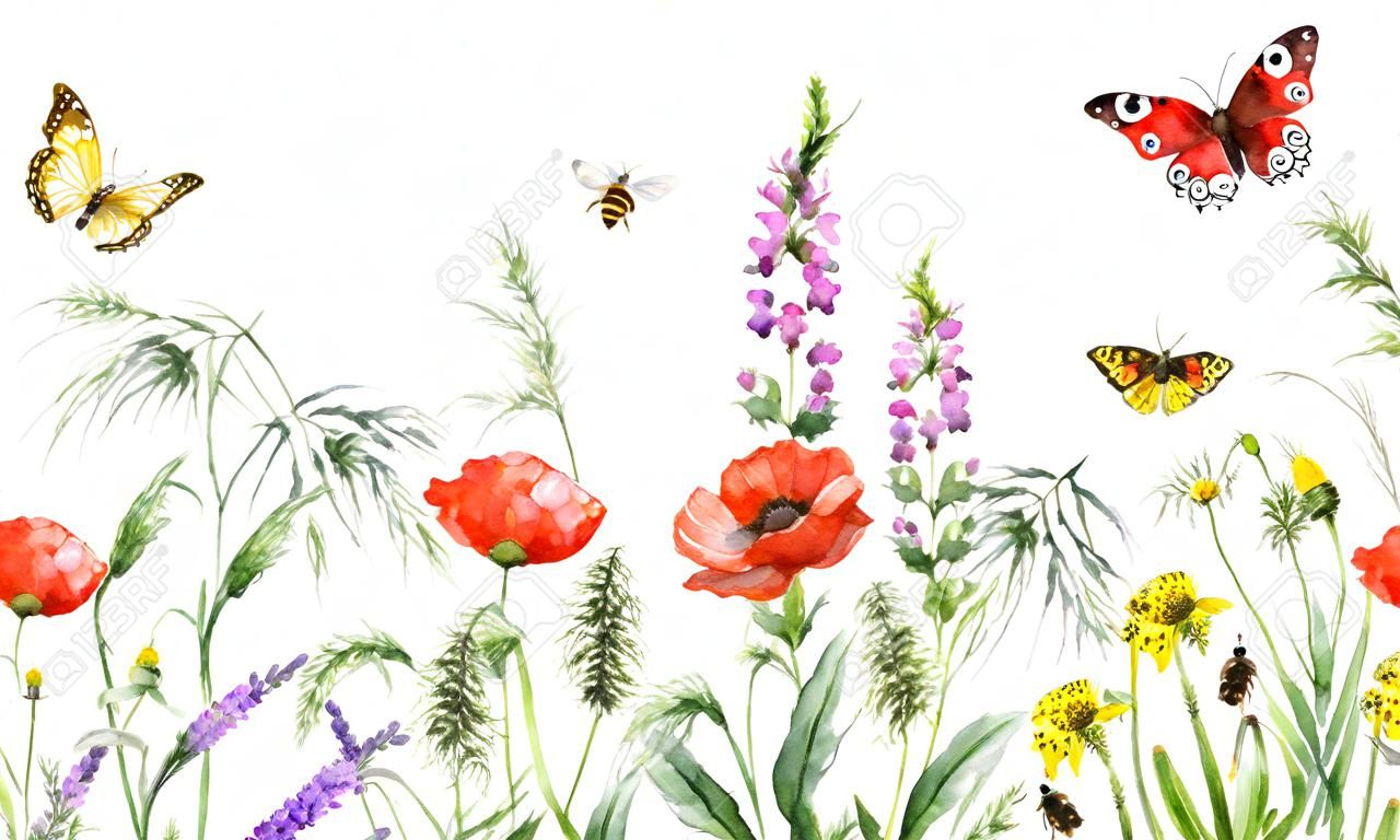 Ручной обращается цветочные горизонтальные бесшовные граница с акварельными полевыми цветами, красными маками, пчелами и бабочками. Летний образец с медоносными цветами, летающими и сидящими насекомыми на белом фоне.
