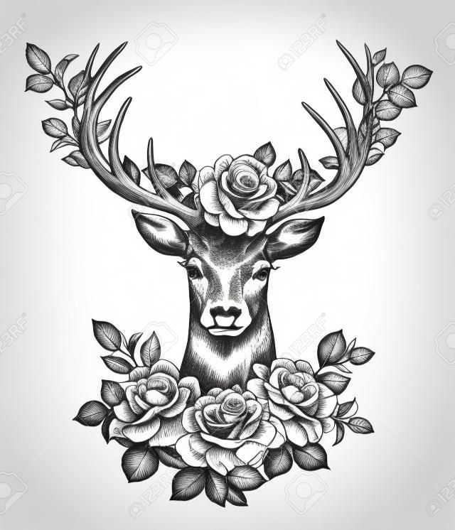 Ręcznie rysowane Red Deer zdobione róże na białym tle. Ołówkiem rysunek monochromatyczne elegancka kompozycja kwiatowa z głową jelenia i kwiatami w rogi, t-shirt, wzór tatuażu.