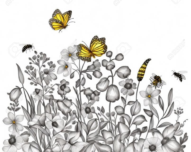 Handgezeichnete Wildblumen, fliegende Bienen und Schmetterlinge auf weißem Hintergrund. Bleistiftzeichnung Eleganz Blumengrenze im Vintage-Stil.