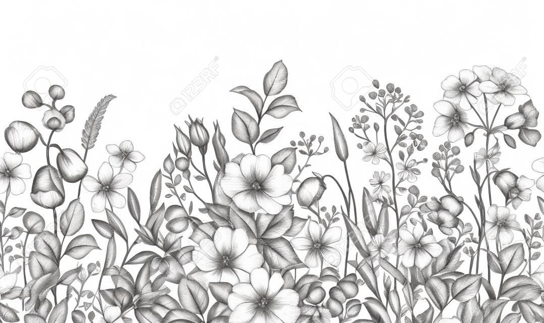 Bordo senza cuciture realizzato con piante di prato monocromatiche disegnate a mano, rosa canina e fiori di campo in fila su sfondo bianco. Disegno a matita eleganza motivo floreale in stile vintage.