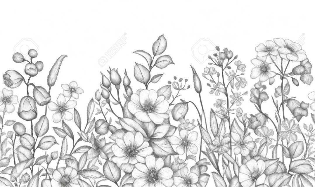 Frontera sin costuras hecha con plantas de pradera monocromáticas dibujadas a mano, rosa de perro y flores silvestres en fila sobre fondo blanco. Lápiz dibujo elegancia patrón floral en estilo vintage.