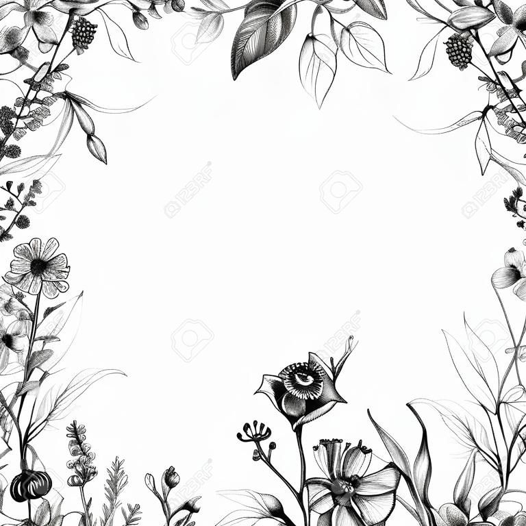 Hand drawn floral border with wild plants on white background. Pencil drawing monochrome square frame  with field flowers in vintage style. 