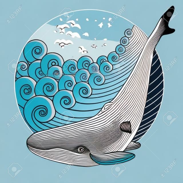 Whale on the Waves. Marine illustration. Hand drawn sea waves round frame. Vector Illustration