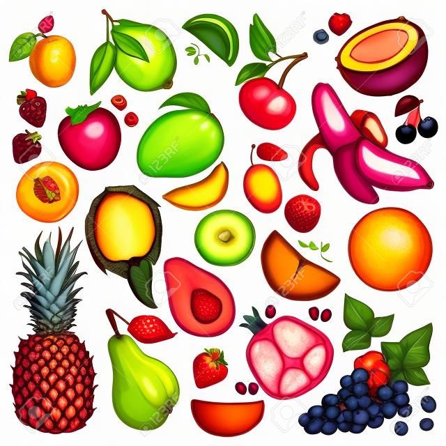 Früchte gezeichnet durch eine Linie auf einem weißen Hintergrund