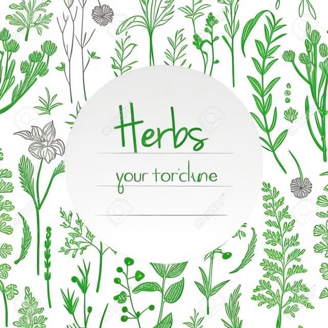Herbs flowers vector color line. Space for text. Template with a sketch of herbs.