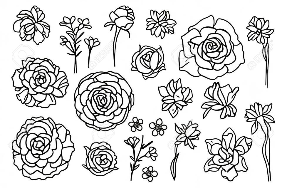 Flowers line drawn on a white background. Vector sketch of flowers. Roses, Daffodils