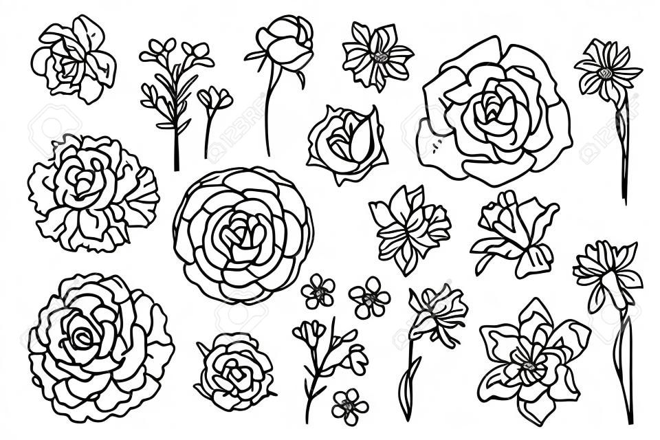 Bloemen lijn getekend op een witte achtergrond. Vector schets van bloemen. Rozen, Daffodils