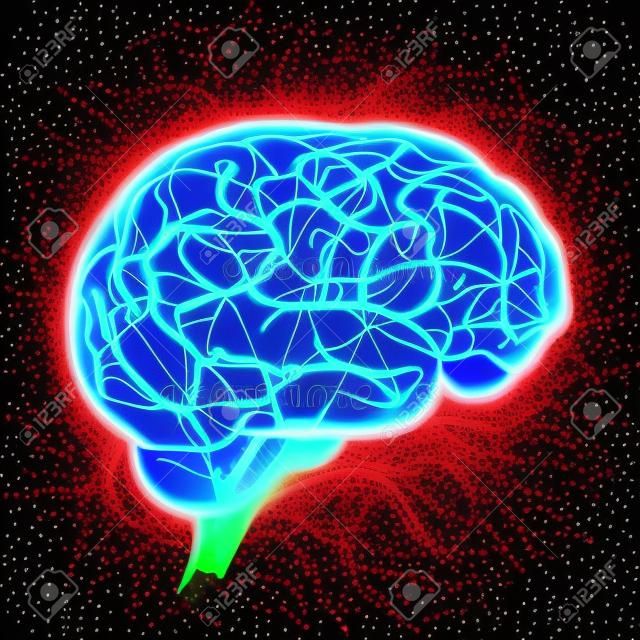 神経細胞を用いたひと脳を輝きます。株式ベクトル イラスト。