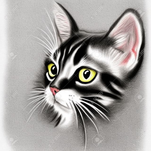 Il gatto Vector per il design di tatuaggi, magliette o capispalla. Sfondo di gatto carino stile di stampa. Questo disegno sarebbe carino da realizzare su tessuto o tela nera