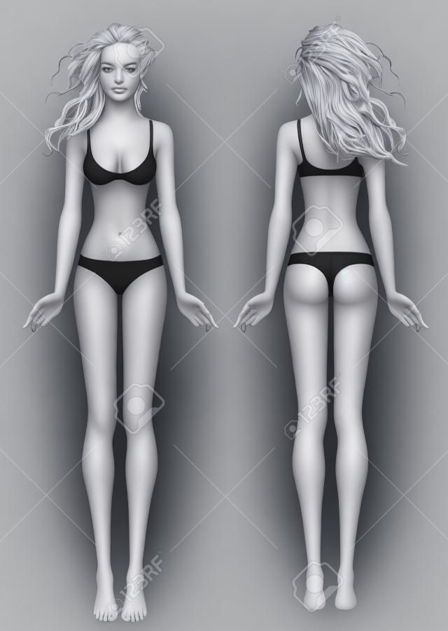 Modelo de corpo da jovem mulher europeia: frente e verso.