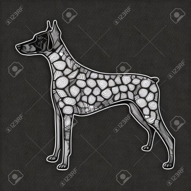 Illustration "Doberman Dog"는 흑백 스타일의 낙서 스타일로 만들어졌습니다. 페인트 이미지는 흰색 배경에 격리됩니다. 성인용 도서 색칠에 사용할 수 있습니다.