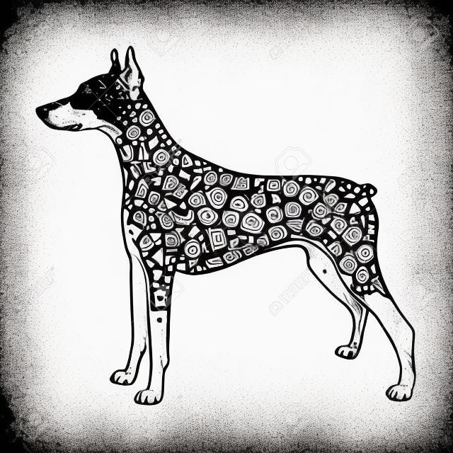 Illustration "Doberman Dog" was created in doodling style in black and white colors.  Painted image is isolated on white background.  It  can be used for coloring books for adult.