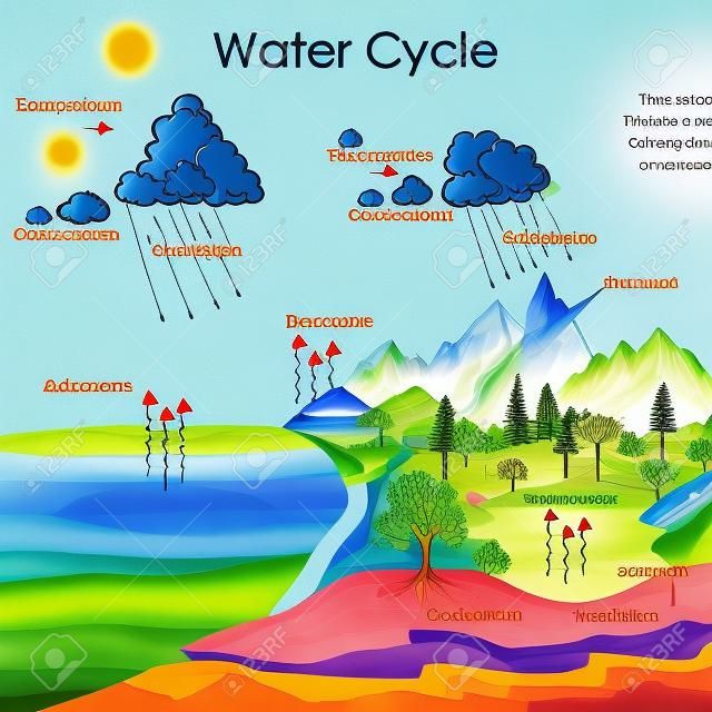 Grafico dell'educazione del diagramma del ciclo dell'acqua