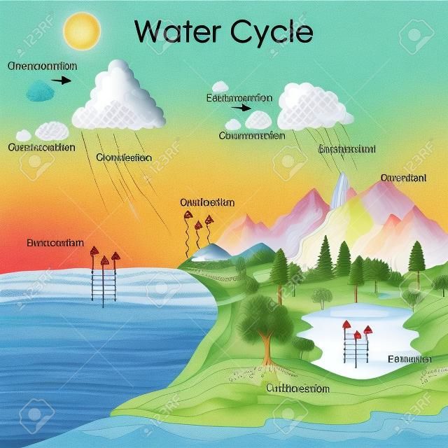 水循環圖教育圖表