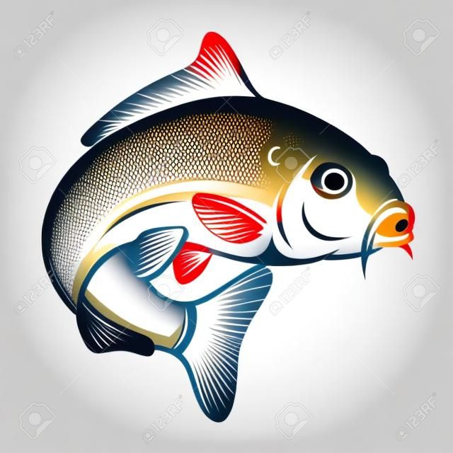 Karp ryb na białym tle. Element projektu dla logo, godło, znak, znak towarowy. Ilustracji wektorowych