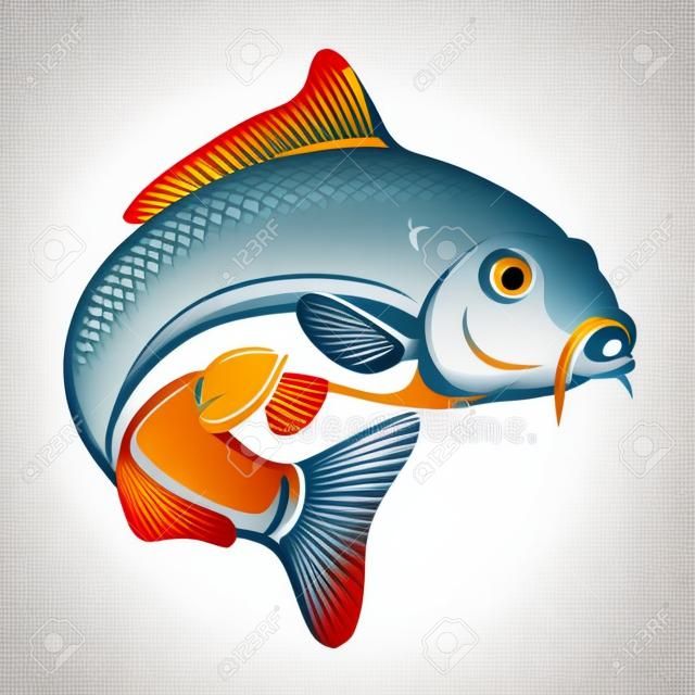 Sazan balığı beyaz zemin üzerinde izole edilmiştir. Logo, amblem, işaret, marka markası için tasarım öğesi. Vektör illüstrasyonu
