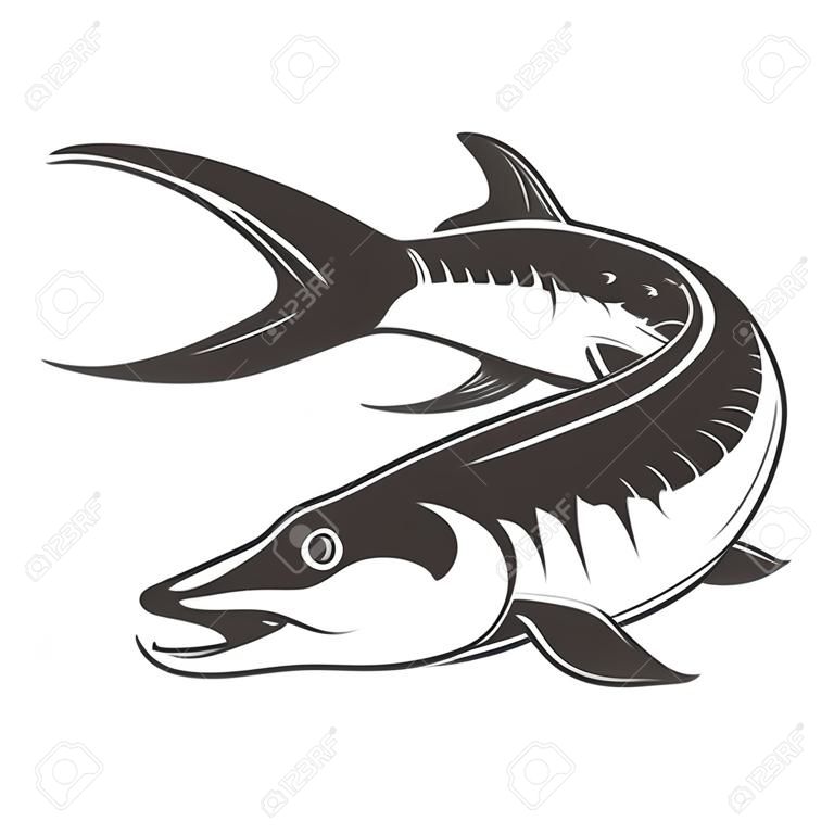 Frische Meeresfrüchte. Störsymbol auf weißem Hintergrund. Gestaltungselement für Logo, Label, Emblem, Zeichen. Vektor-Illustration