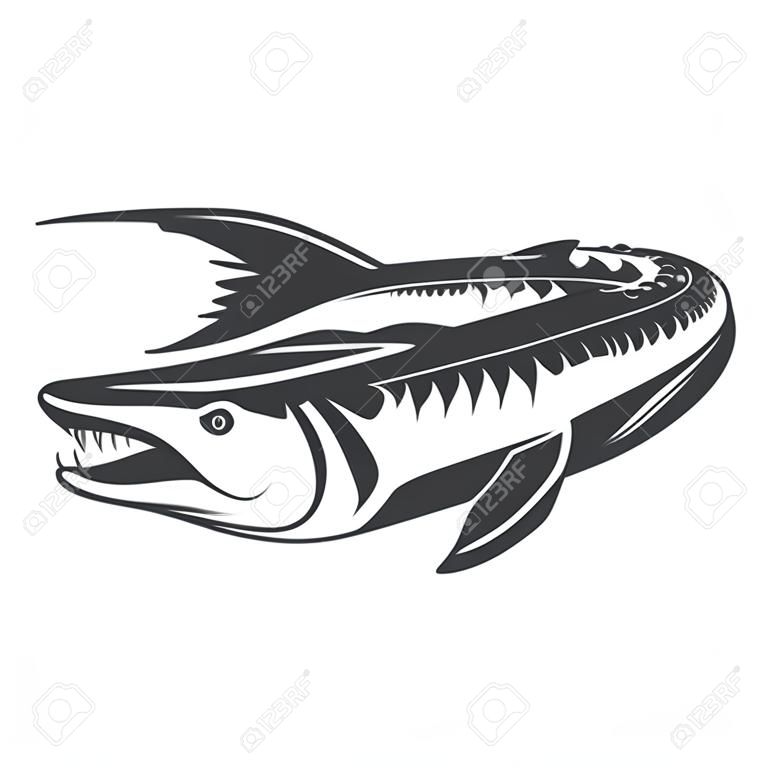 新鮮的海鮮。白色背景上的鱘魚圖標。徽標，標籤，標誌，標誌的設計元素。矢量圖
