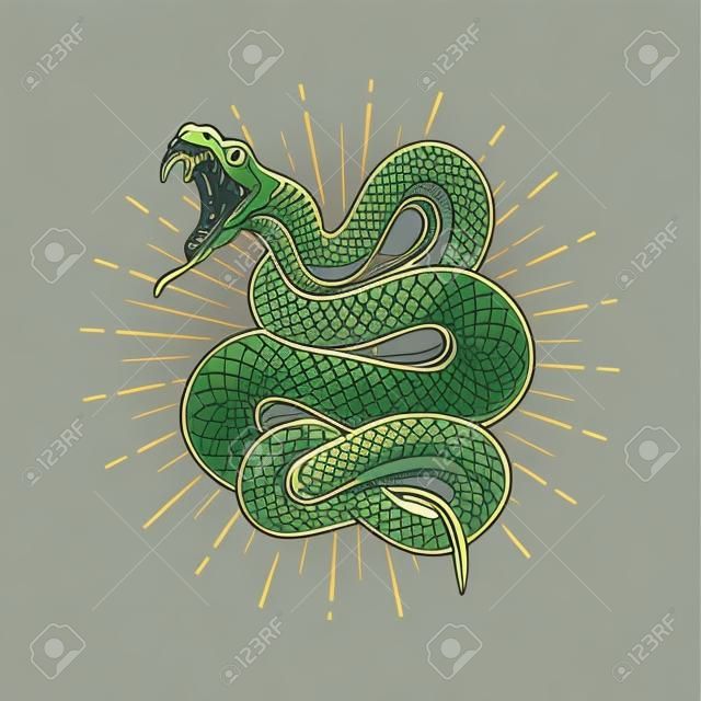 Vi蛇蛇在白色背景上的插圖。海報，會徽，標誌的設計元素。矢量圖