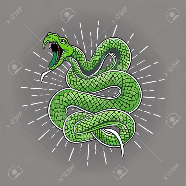Иллюстрация змеи гадюки на белом фоне. Элемент дизайна для плаката, эмблемы, знака. Векторная иллюстрация