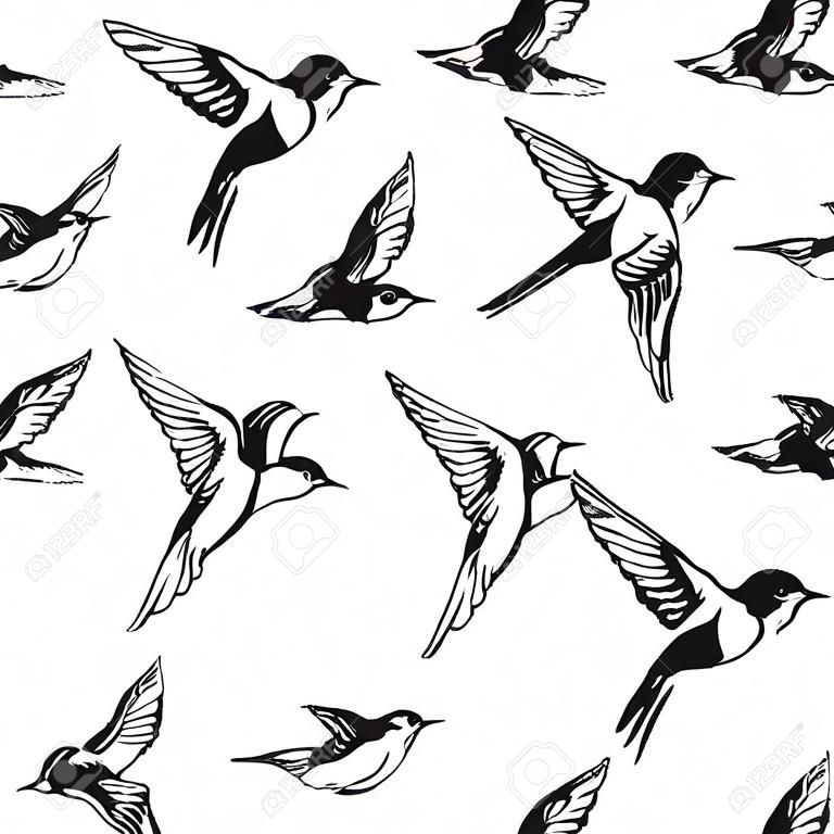 Set of swallow illustrations on white background.