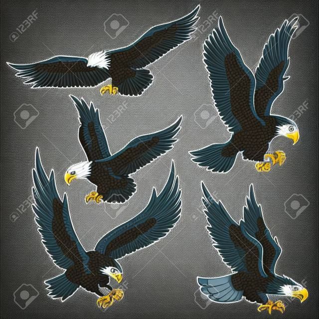 Conjunto de ilustrações de águias. Elemento de design para logotipo, rótulo, emblema, sinal, cartaz, camiseta. Imagem vetorial
