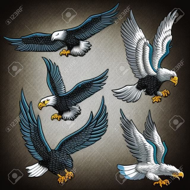 Set of eagles illustrations. Design element for logo, label, emblem, sign, poster, t shirt. Vector image