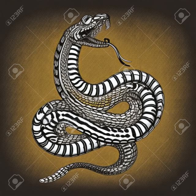 Illustrazione del serpente velenoso nello stile dell'incisione. Elemento di design per etichetta, segno, poster, maglietta. Illustrazione vettoriale