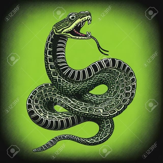 Ilustracja jadowitego węża w stylu grawerowania. element projektu etykiety, znaku, plakatu, koszulki. ilustracja wektorowa