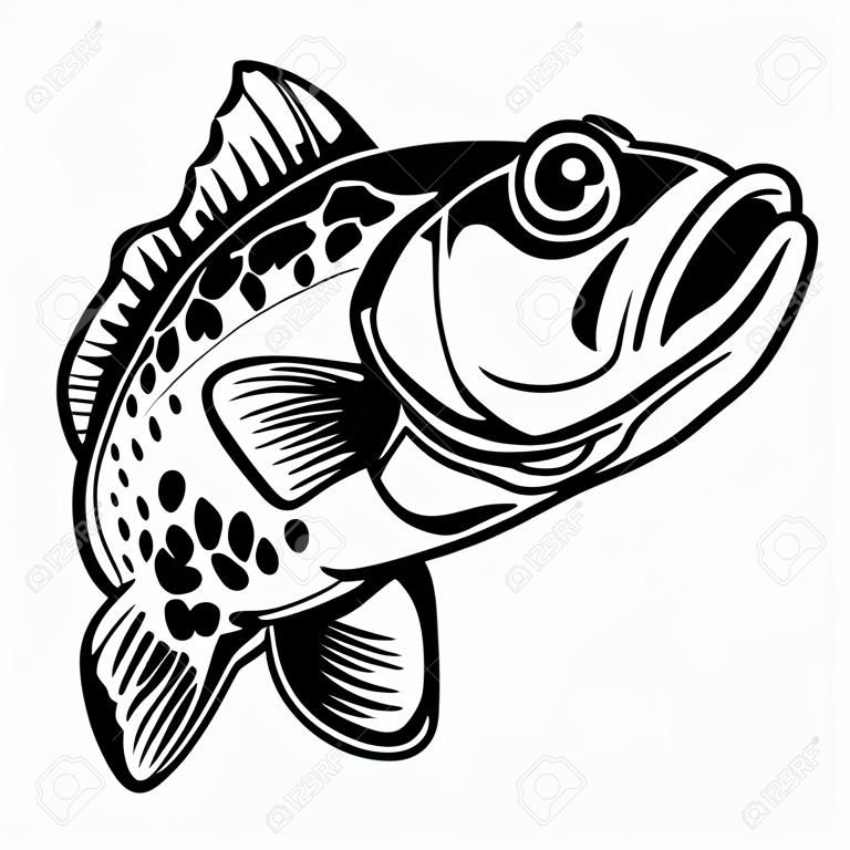 Illustration of bass fish. Big perch. Perch fishing. Design element for logo, emblem, sign, poster, card, banner. Vector illustration