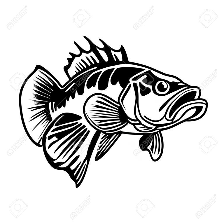 Illustrazione del pesce persico. Grande trespolo. Pesca al pesce persico. Elemento di design per logo, emblema, segno, poster, carta, banner. Illustrazione vettoriale